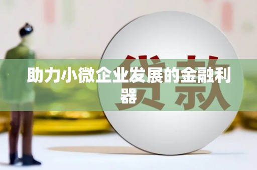 临沧助力小微企业发展的金融利器