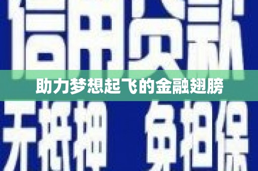 临沧助力梦想起飞的金融翅膀