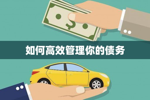 临沧如何高效管理你的债务