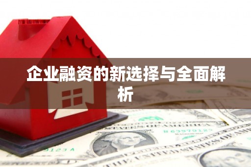 临沧企业融资的新选择与全面解析