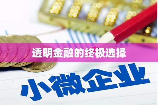 临沧透明金融的终极选择