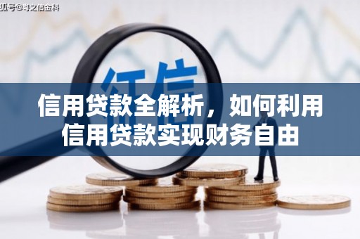 临沧信用贷款全解析，如何利用信用贷款实现财务自由