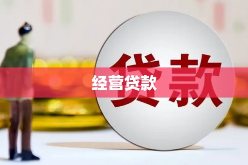 临沧经营贷款