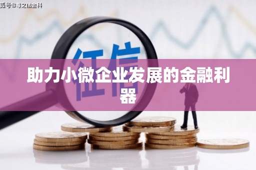 临沧助力小微企业发展的金融利器