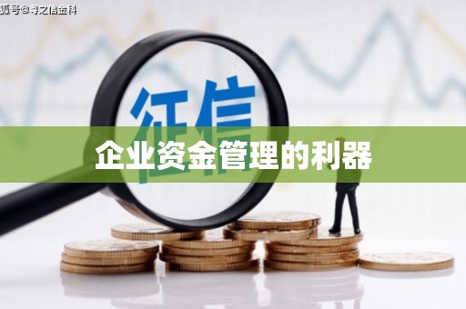 临沧企业资金管理的利器